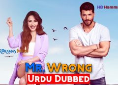Mr Wrong [Turkish Drama] in Urdu Hindi Dubbed – Episode 03-04 Added – KDramas Maza